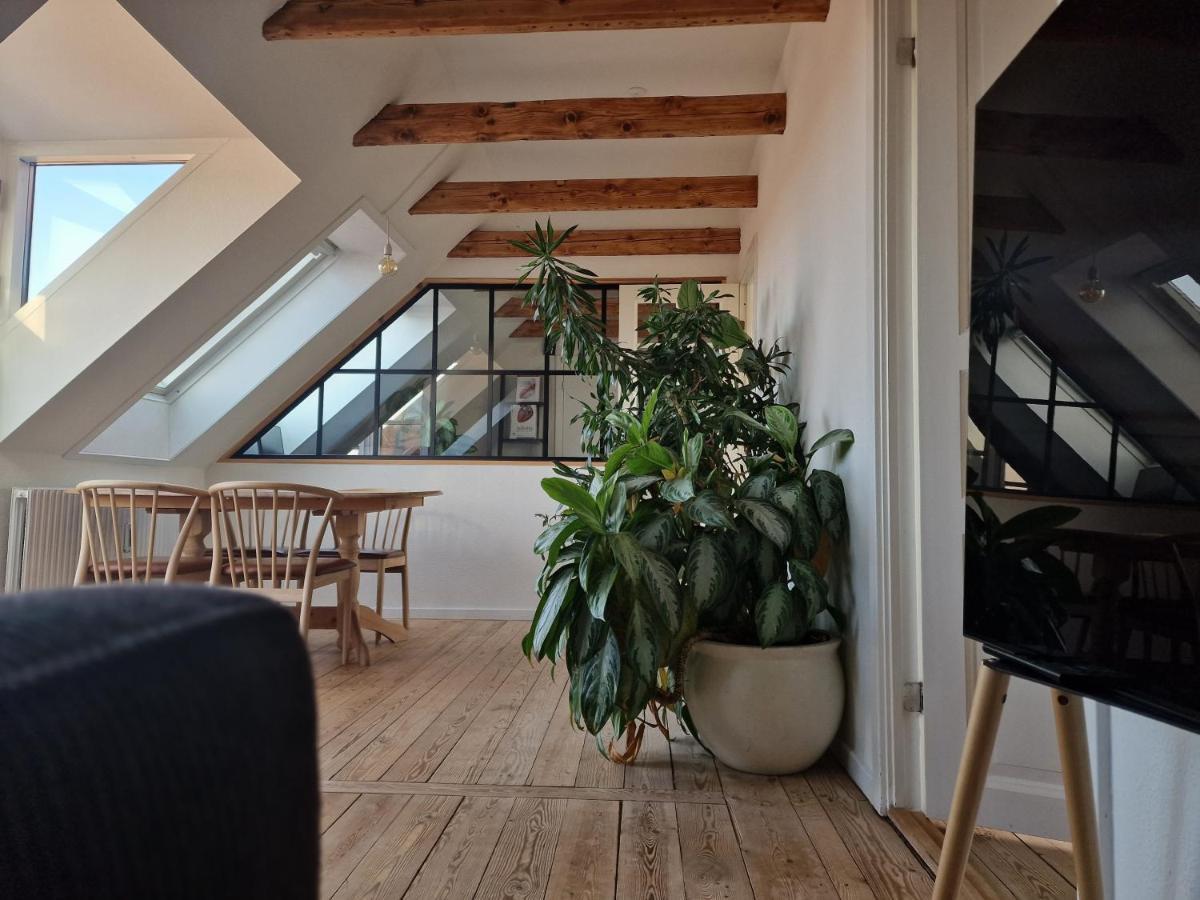 Apartment Penthouse *