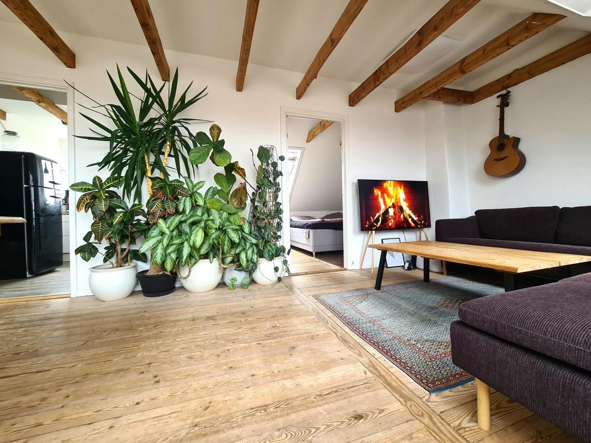 Penthouse * Aarhus