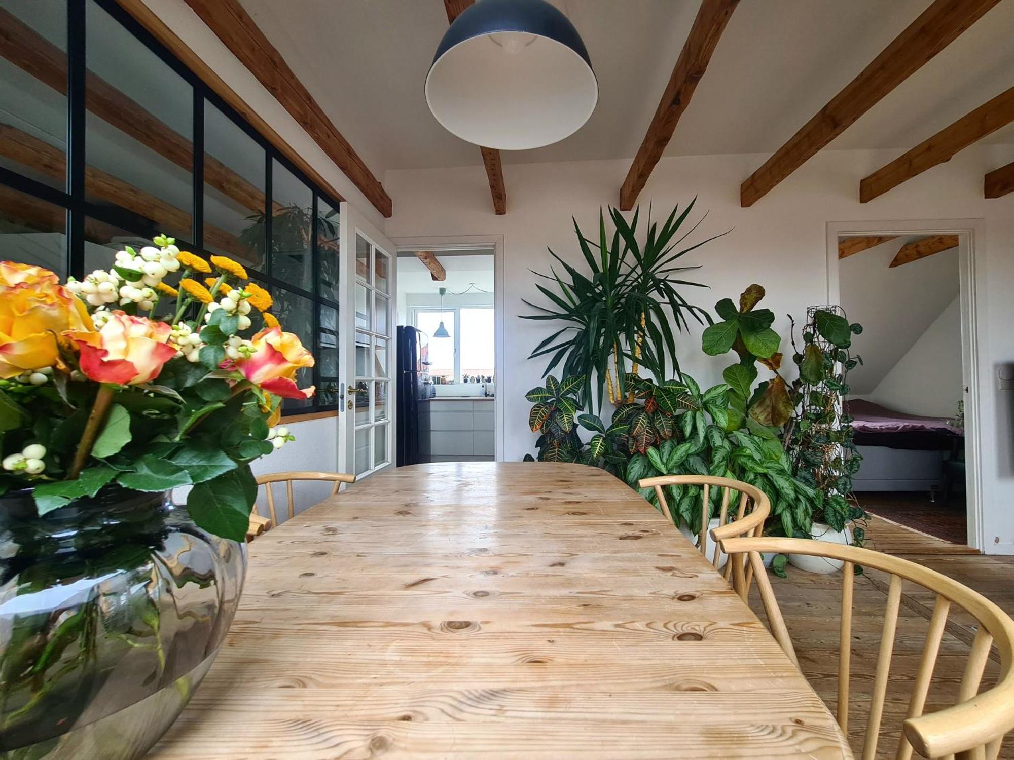 Apartment Penthouse