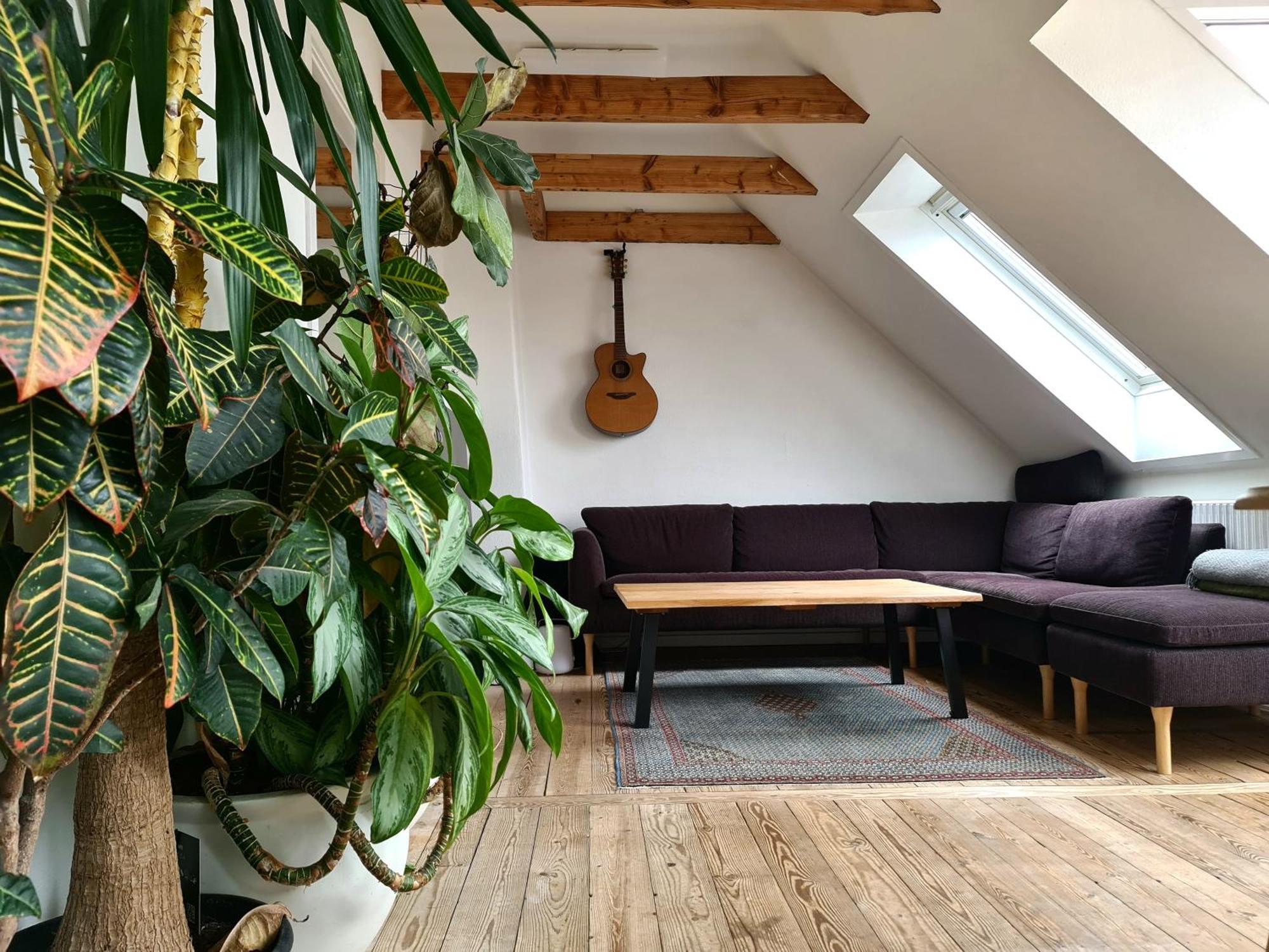 Apartment Penthouse *